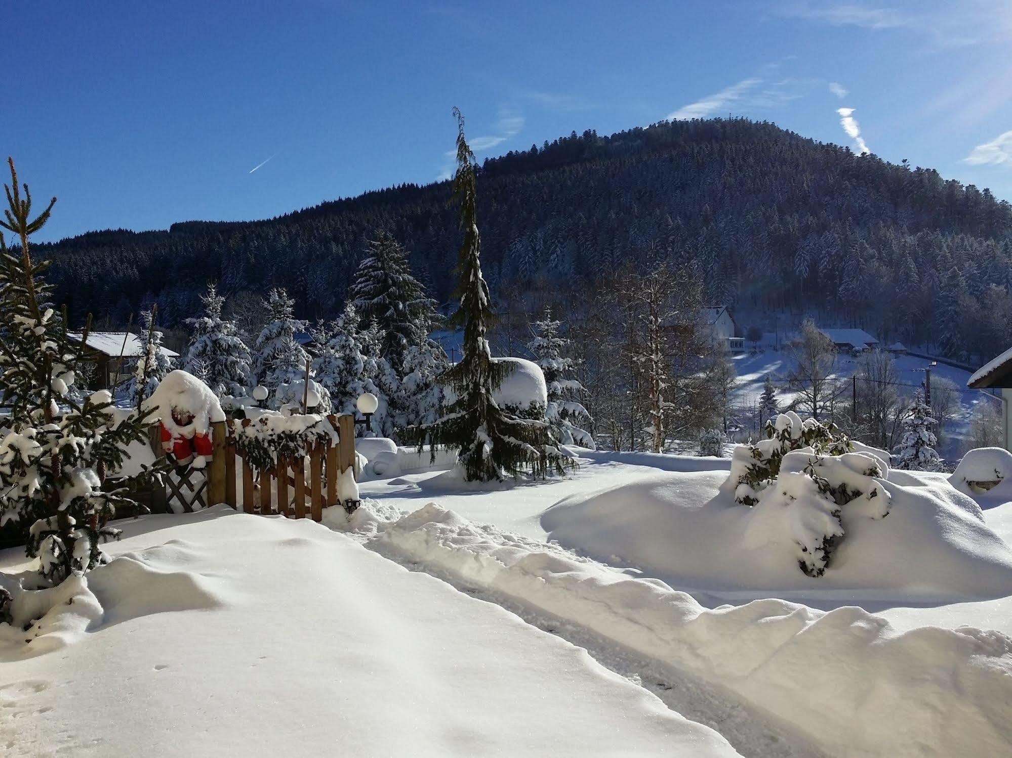Maison La Deviniere - Sauna Et Spa Compris Accessibles Toute L'Annee Xonrupt-Longemer Luaran gambar