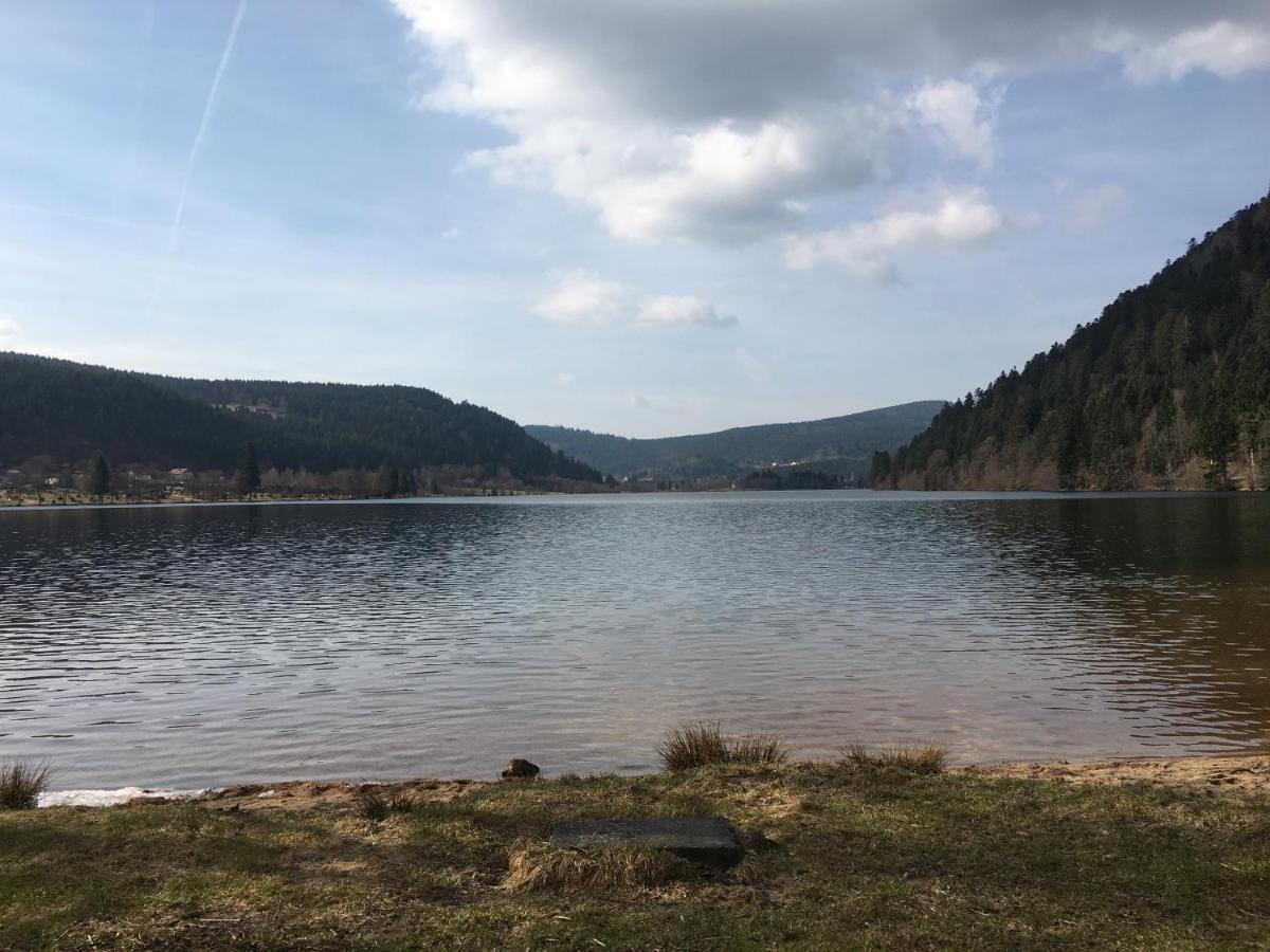 Maison La Deviniere - Sauna Et Spa Compris Accessibles Toute L'Annee Xonrupt-Longemer Luaran gambar